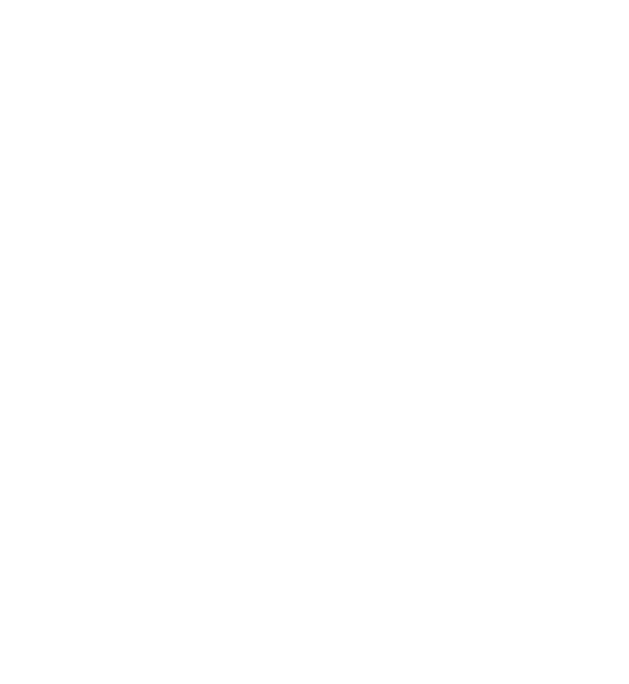 CV