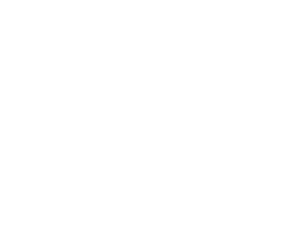 CV